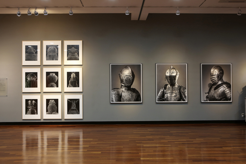 Claudia Fährenkemper - Fotografien von 1988–2015, Imago Series, aff Galerie, Berlin, 2015