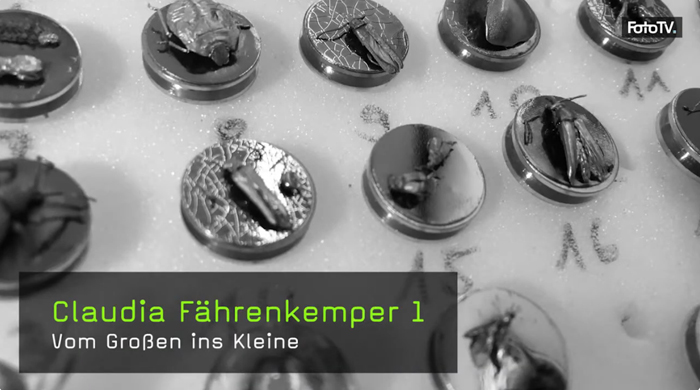 Claudia F&auml;hrenkemper on Youtube-FotoTV